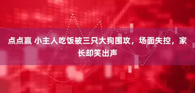 点点赢 小主人吃饭被三只大狗围攻，场面失控，家长却笑出声