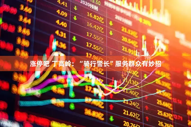 涨停吧 丁高岭：“骑行警长”服务群众有妙招