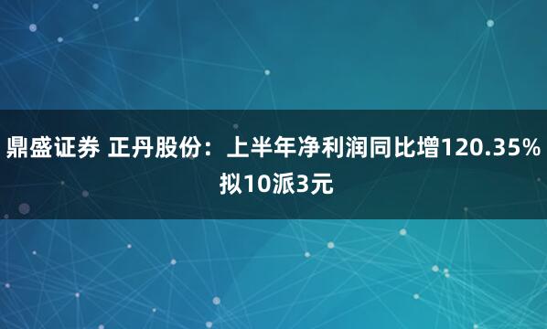 鼎盛证券 正丹股份：上半年净利润同比增120.35% 拟10派3元